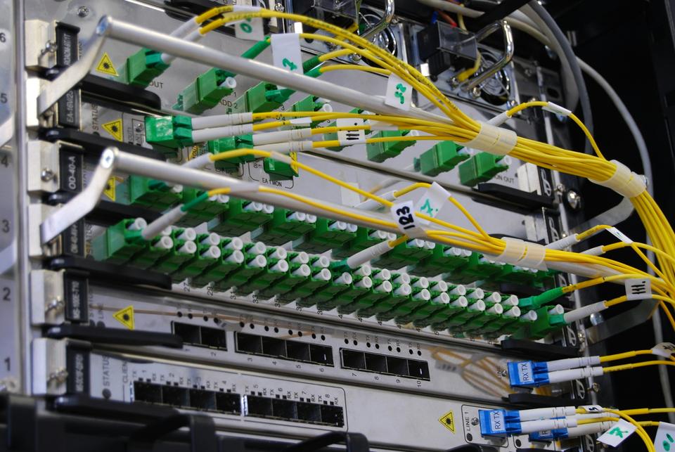 Fibre optic patch leads connected to a network switch in a rack